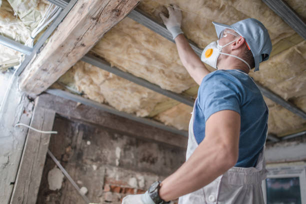 Best Insulation Maintenance and Repair in Littlefield, TX