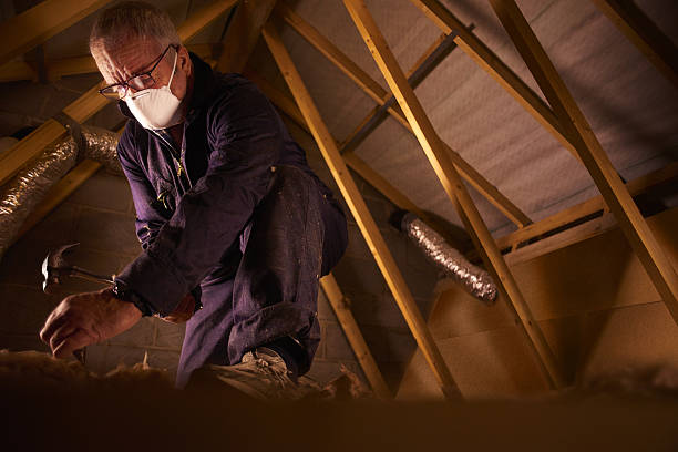 Best Specialty Insulation in Littlefield, TX